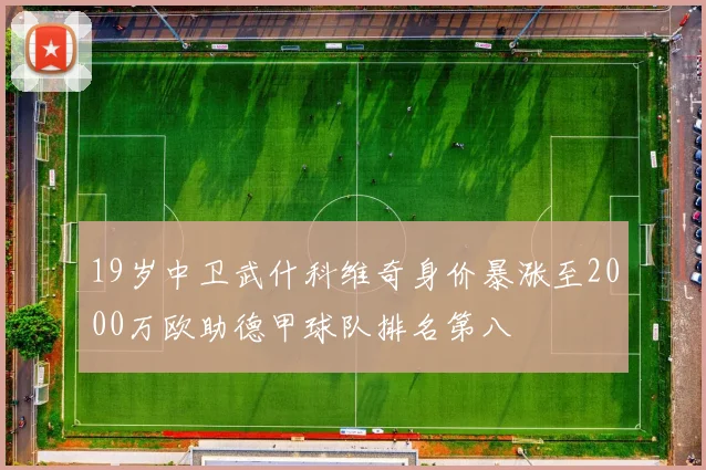 19岁中卫武什科维奇身价暴涨至2000万欧助德甲球队排名第八