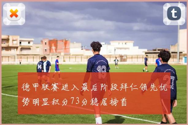 德甲联赛进入最后阶段拜仁领先优势明显积分73分稳居榜首