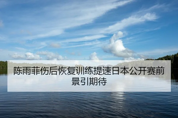 陈雨菲伤后恢复训练提速日本公开赛前景引期待