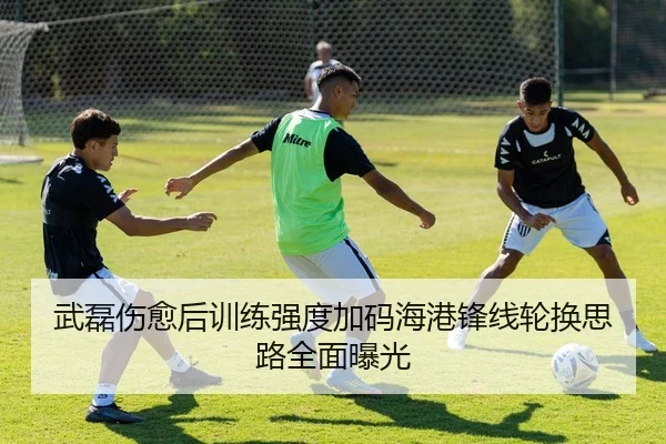 武磊伤愈后训练强度加码海港锋线轮换思路全面曝光